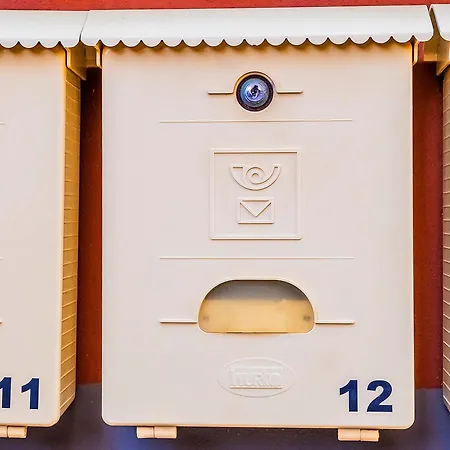 Live Victoria Santo Domingo La Victoria de Acentejo